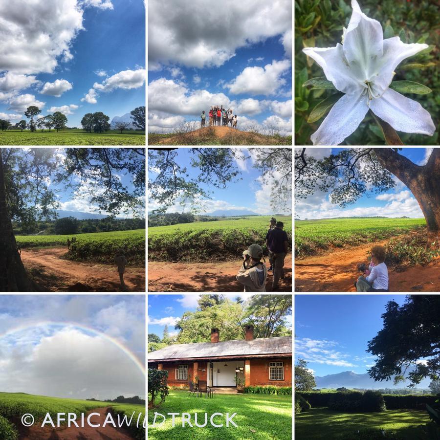 Africawildtruck Eco Camp & Lodge Mulanje Bagian luar foto
